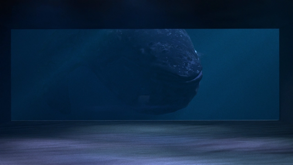 グループ制作／ディレクション、映像、CG